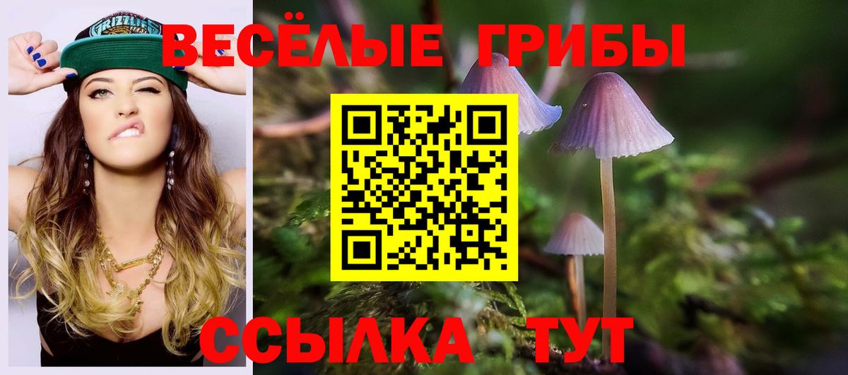 Меф Долгопрудный