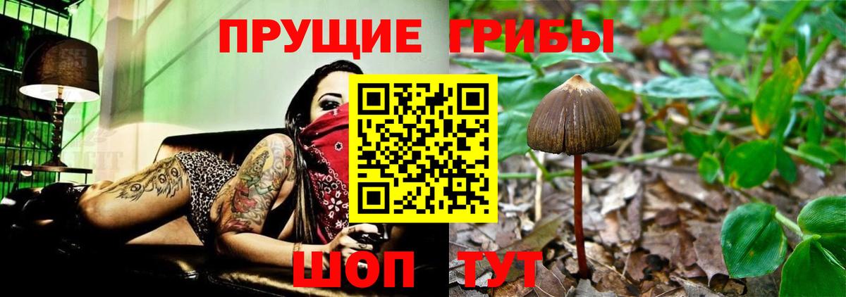 Долгопрудный  Псилоцибиновые грибы мухоморы  Галлюциногенные грибы MAGIC MUSHROOMS  Вход с VPN 